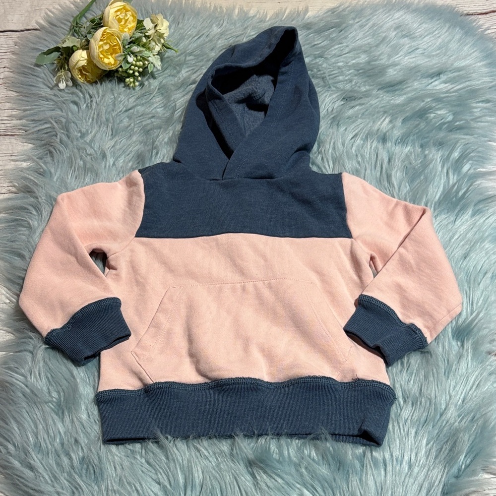 Crewcuts Pink and Blue Kids Hoodie sz 2